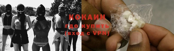 apvp Бородино