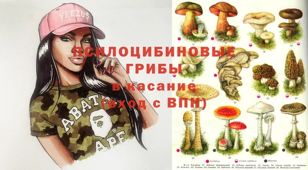 a pvp Бронницы