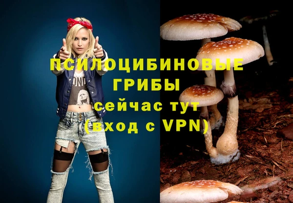 apvp Бородино