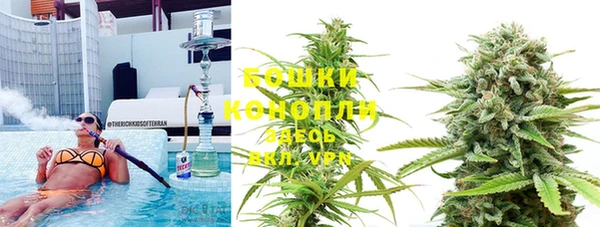 apvp Бородино