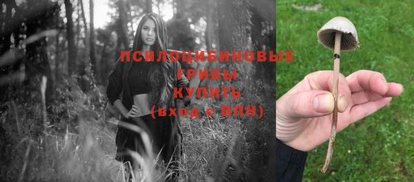 apvp Бородино